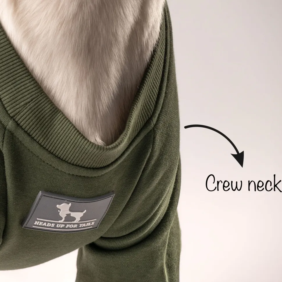 HUFT Chief Cuddle Officer Pet Sweatshirt - Green