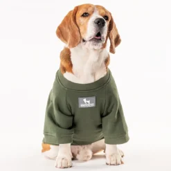 HUFT Chief Cuddle Officer Pet Sweatshirt - Green