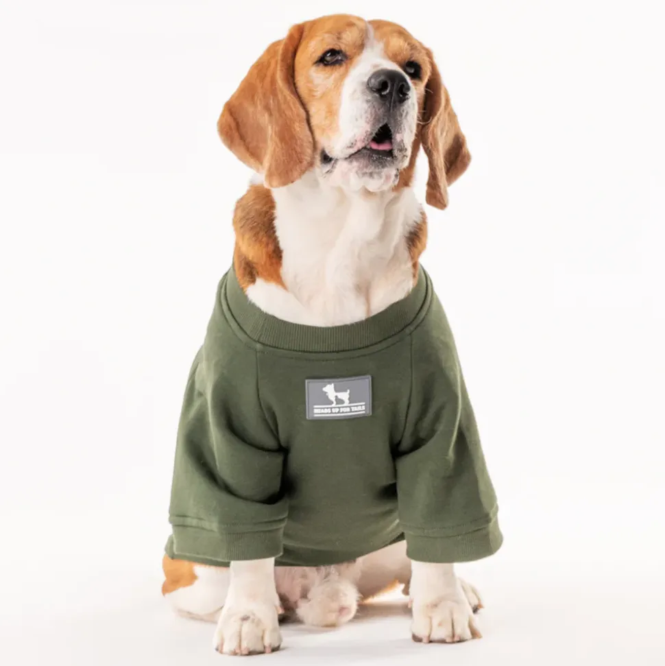 HUFT Chief Cuddle Officer Pet Sweatshirt - Green
