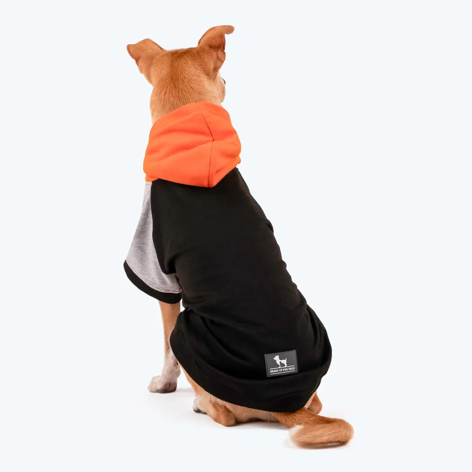 HUFT Colour Block Hoodie Sweatshirt For Dogs - Black