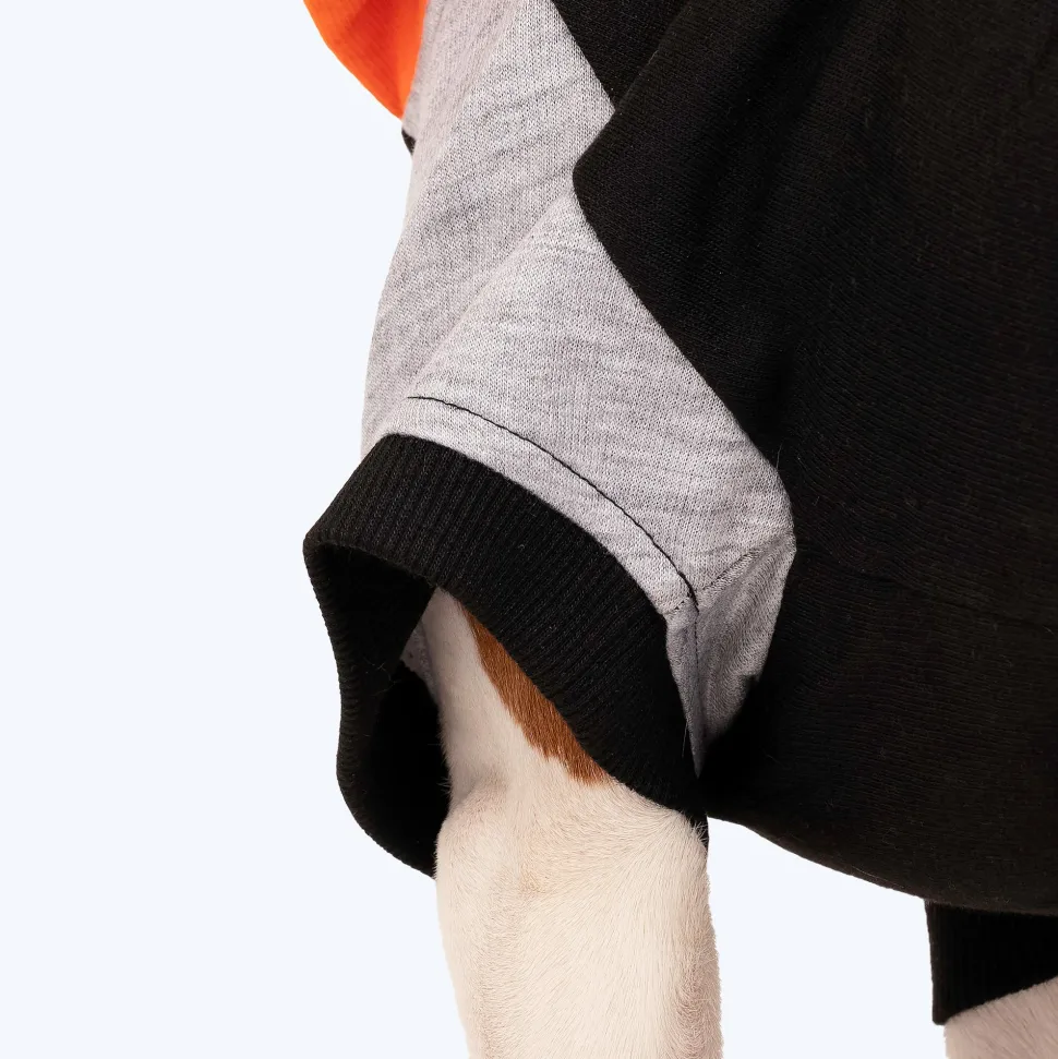 HUFT Colour Block Hoodie Sweatshirt For Dogs - Black