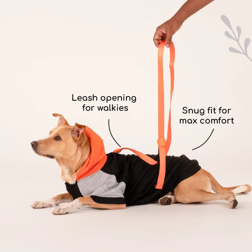 HUFT Colour Block Hoodie Sweatshirt For Dogs - Black