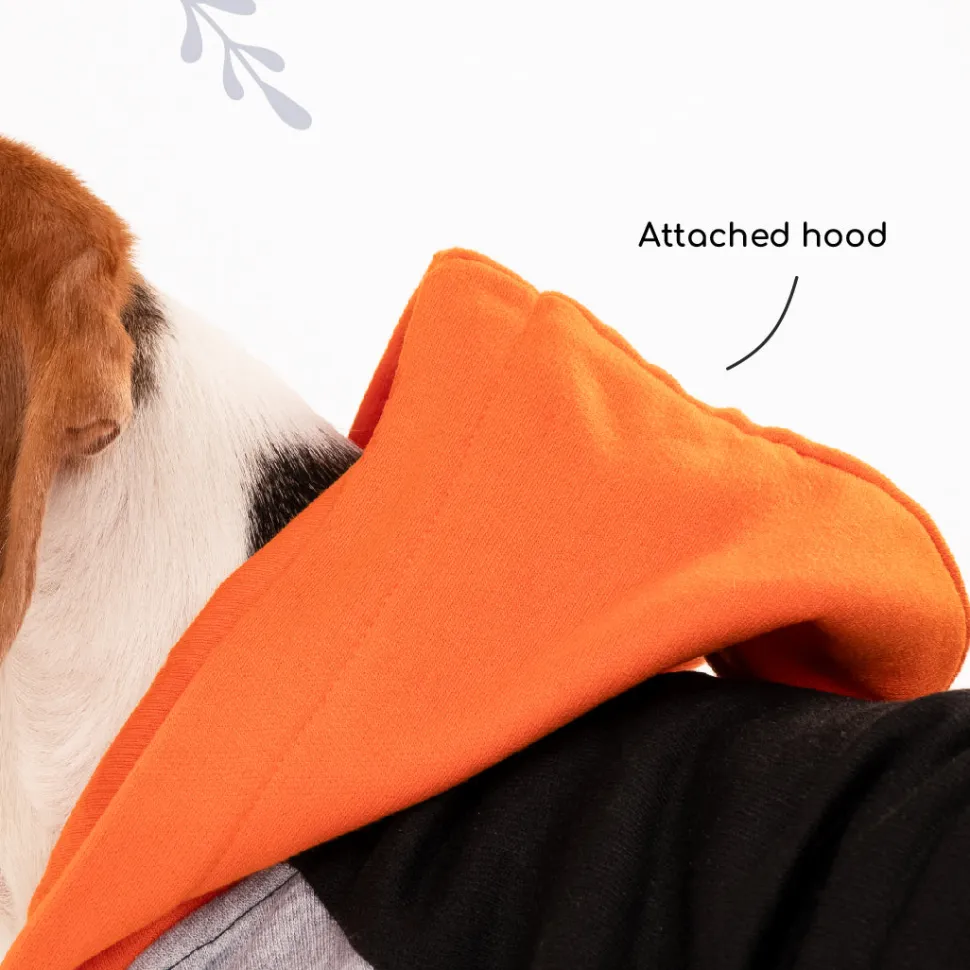 HUFT Colour Block Hoodie Sweatshirt For Dogs - Black
