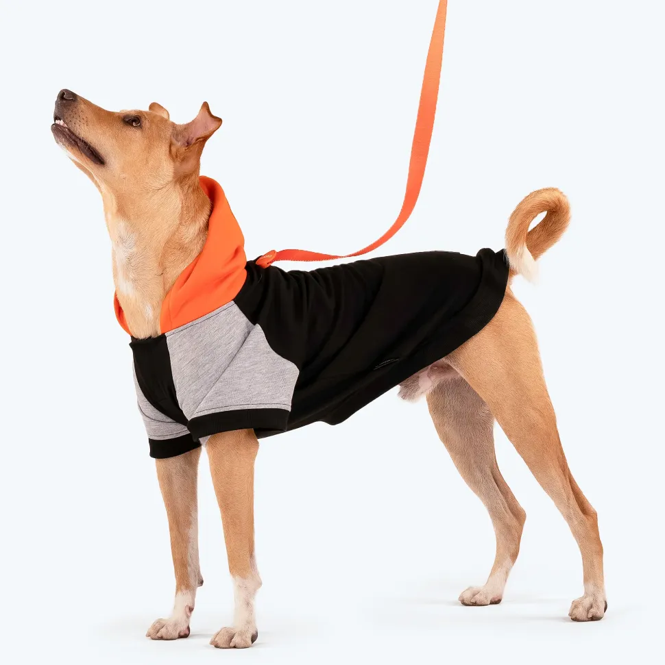 HUFT Colour Block Hoodie Sweatshirt For Dogs - Black