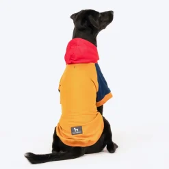 HUFT Colour Block Hoodie Pet Sweatshirt - Mustard