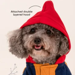HUFT Colour Block Hoodie Pet Sweatshirt - Mustard