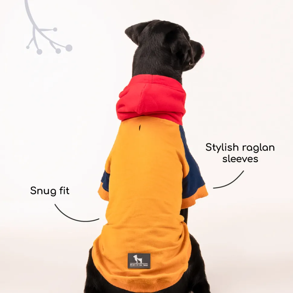 HUFT Colour Block Hoodie Pet Sweatshirt - Mustard