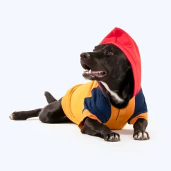 HUFT Colour Block Hoodie Pet Sweatshirt - Mustard