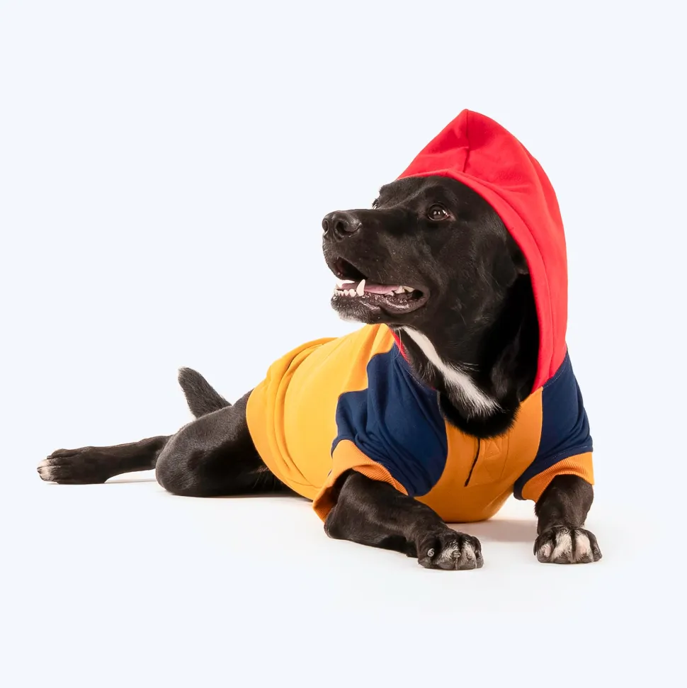 HUFT Colour Block Hoodie Pet Sweatshirt - Mustard