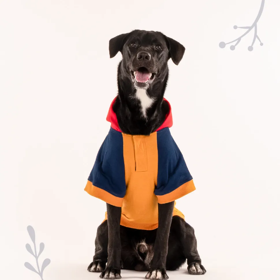 HUFT Colour Block Hoodie Pet Sweatshirt - Mustard