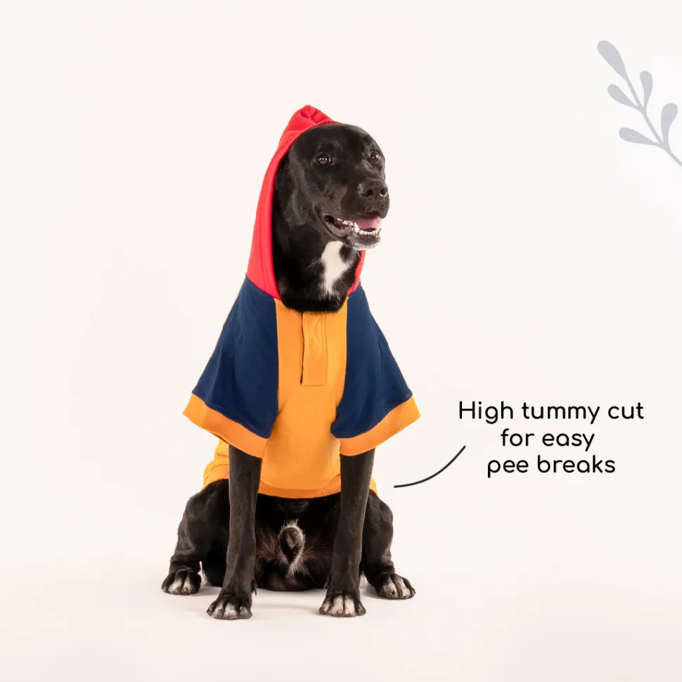 HUFT Colour Block Hoodie Pet Sweatshirt - Mustard