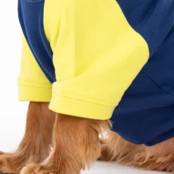 HUFT Colour Block Pocket Pet Sweatshirt - Neon Lime and Navy