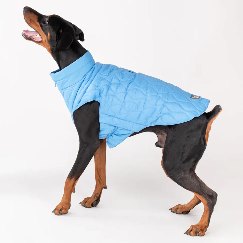 HUFT Cosy Pupper Reversible Dog Jacket- Ocean Blue