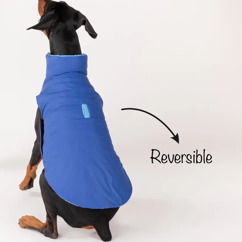 HUFT Cosy Pupper Reversible Dog Jacket- Ocean Blue
