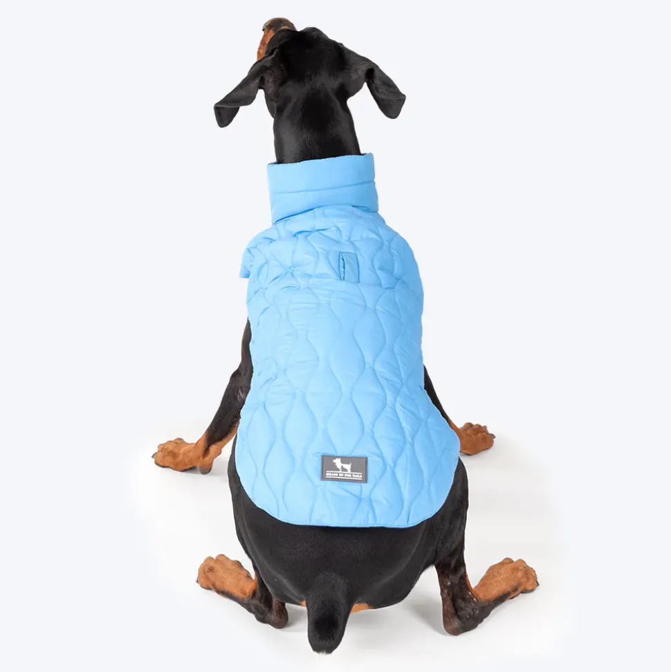 HUFT Cosy Pupper Reversible Dog Jacket- Ocean Blue