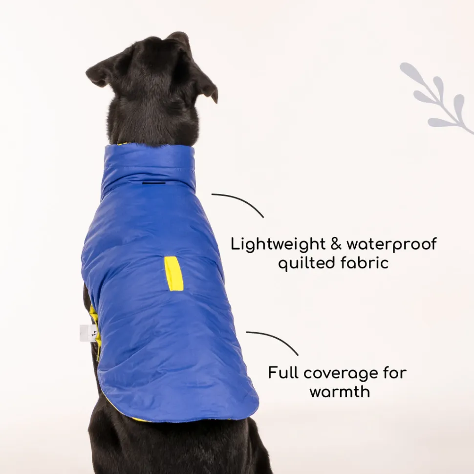 HUFT Cosy Pupper Reversible Dog Jacket - Lime Green