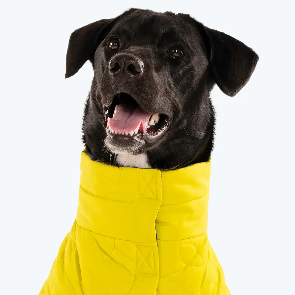 HUFT Cosy Pupper Reversible Dog Jacket - Lime Green