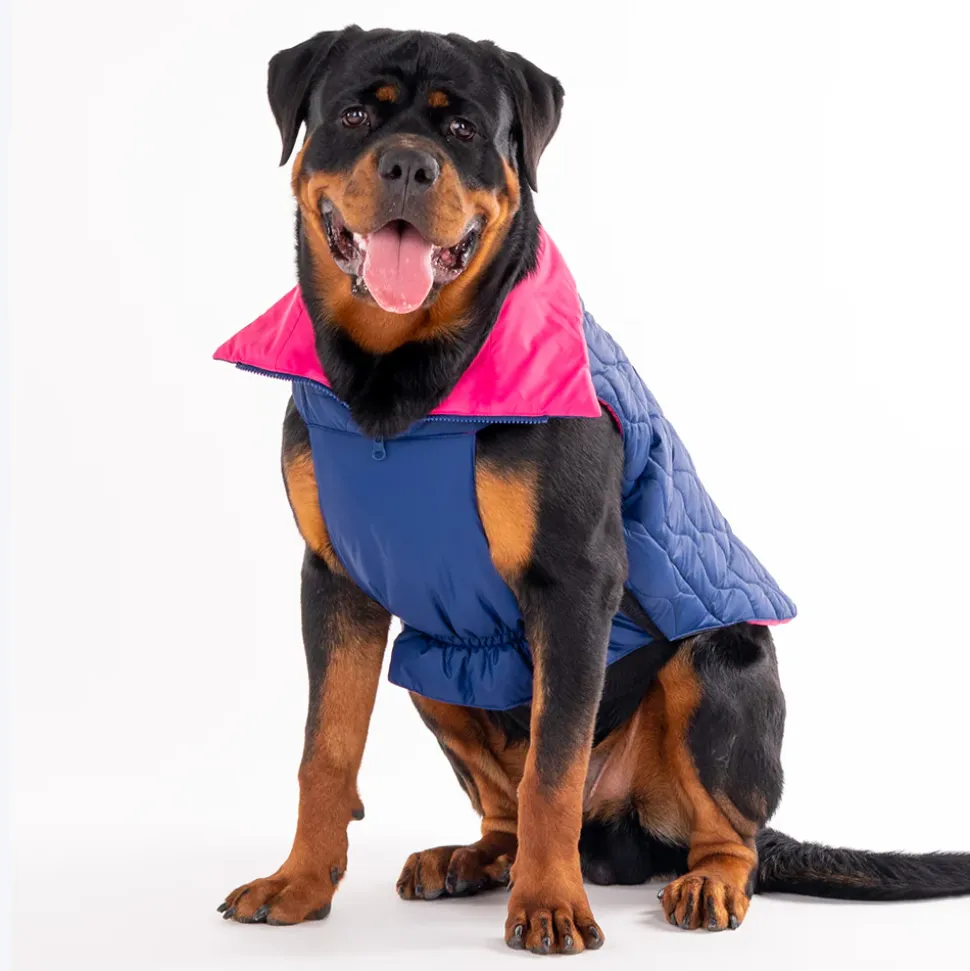 HUFT Cosy Pupper Reversible Dog Jacket - Denim Blue