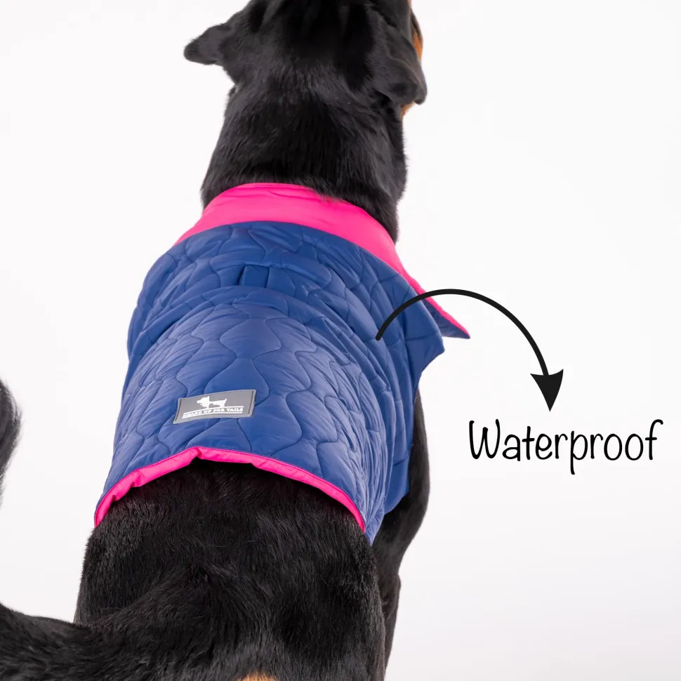 HUFT Cosy Pupper Reversible Dog Jacket - Denim Blue