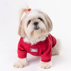 HUFT Cutie on Duty Pet Sweatshirt - Maroon