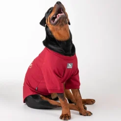 HUFT Cutie on Duty Pet Sweatshirt - Maroon
