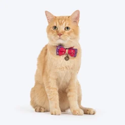 HUFT Desi Glam Bow Tie With Strap For Cat - Pink & Purple