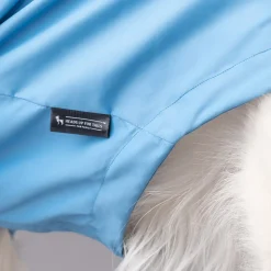 HUFT Drizzle Buddy Dog Raincoat - Sky Blue