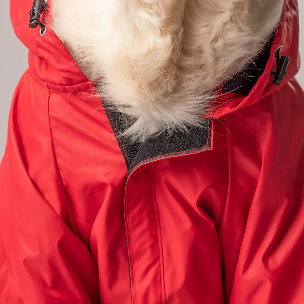 HUFT Drizzle Buddy Dog Raincoat - Crimson Red