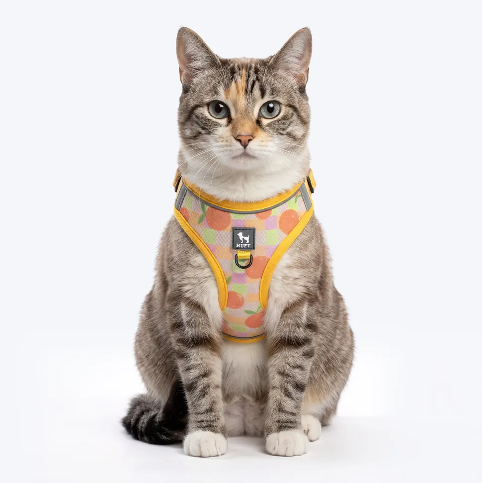 HUFT Easy Breezy Step-In Harness & Leash Set For Cat - Orange