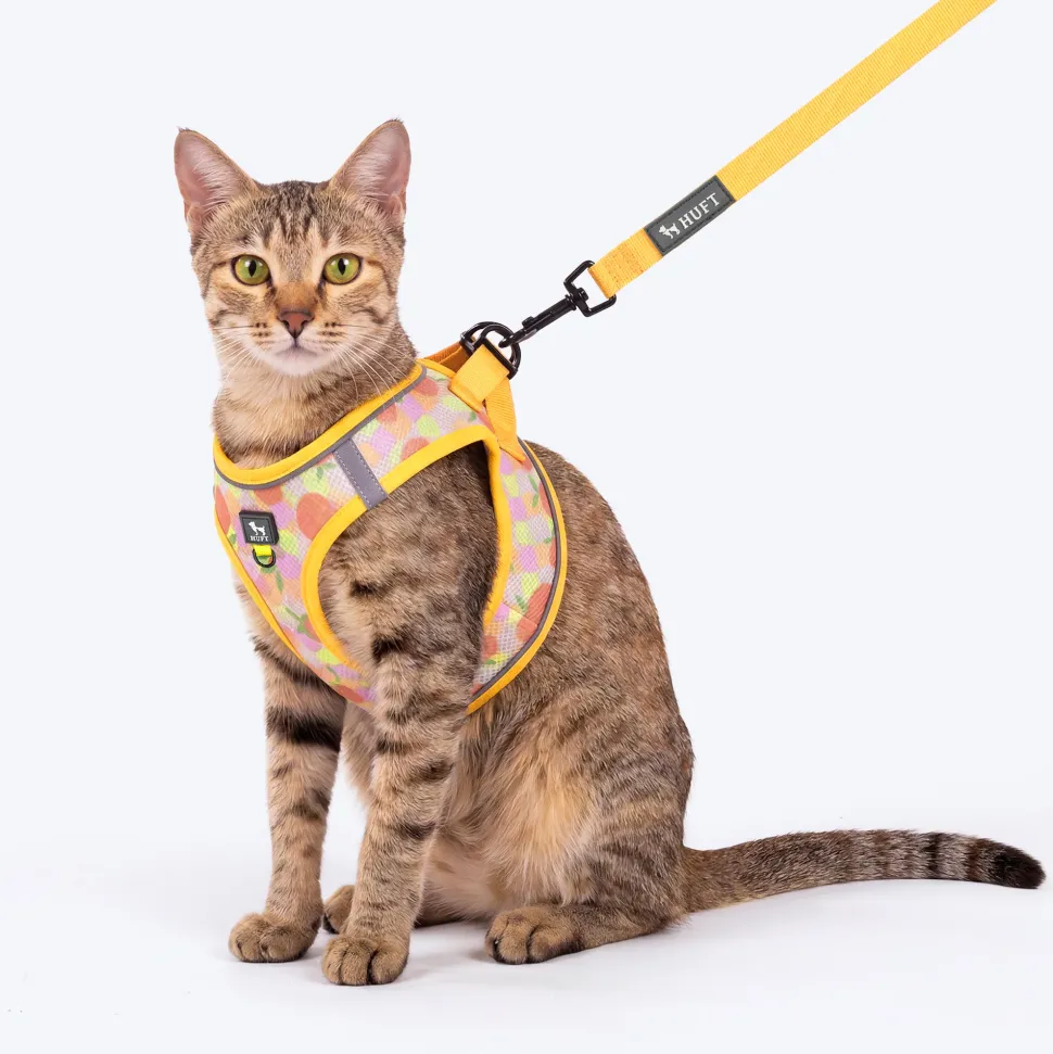 HUFT Easy Breezy Step-In Harness & Leash Set For Cat - Orange