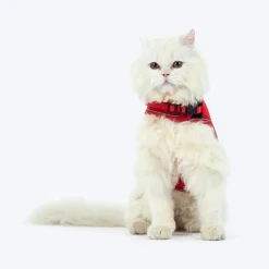 HUFT Essential Harness & Leash Set For Cat - Red