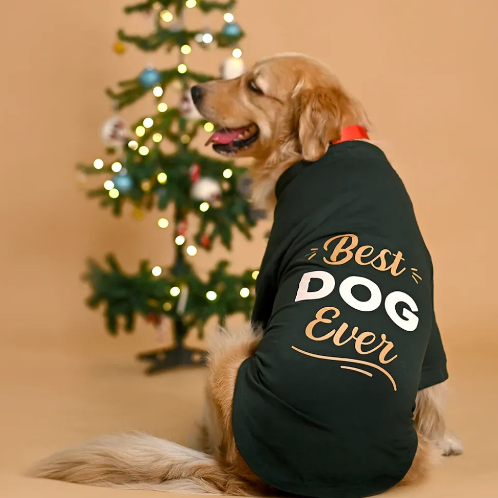 HUFT Fleece Dog Sweatshirt - Dark Green