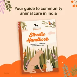 HUFT Foundation Streetie Handbook