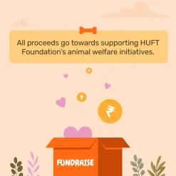 HUFT Foundation Streetie Handbook