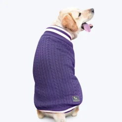 HUFT Fuzzy Buddy Dog Sweater - Purple