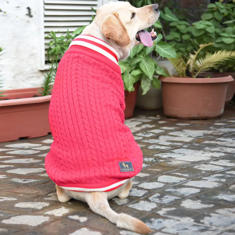 HUFT Fuzzy Buddy Dog Sweater - Pink