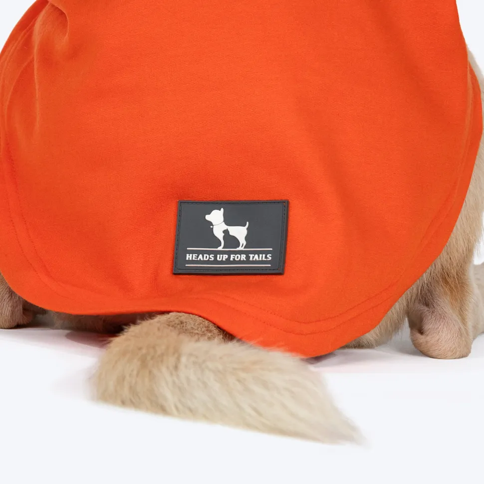 HUFT Good Doggo Pet Sweatshirt - Orange