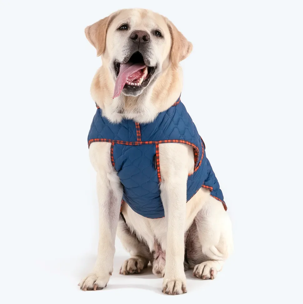 HUFT Grrberry Quilted Dog Jacket - Teal Blue