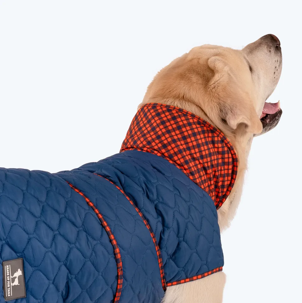 HUFT Grrberry Quilted Dog Jacket - Teal Blue