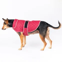 HUFT Grrberry Quilted Dog Jacket- Burnt Red