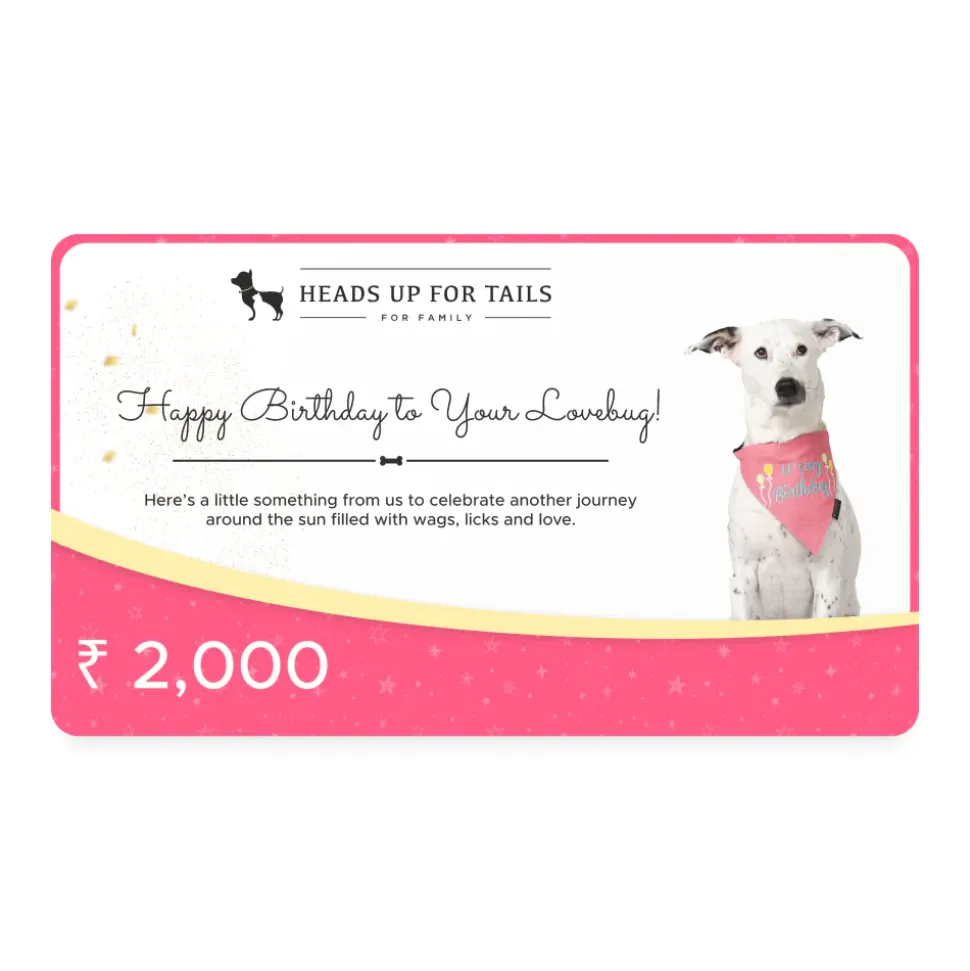 HUFT Happy Birthday To Your Lovebug Gift Card