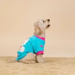 HUFT Happy Teddy Sweatshirt For Small Dog - Turquoise Blue