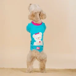 HUFT Happy Teddy Sweatshirt For Small Dog - Turquoise Blue
