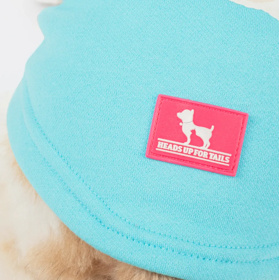 HUFT Happy Teddy Sweatshirt For Small Dog - Turquoise Blue