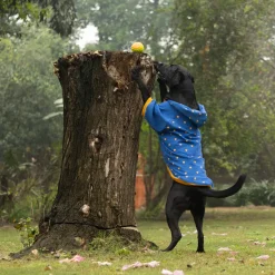 HUFT Honey Hearts Sweatshirt With Hood For Dog - Blue