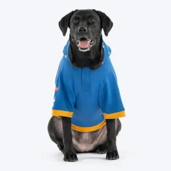 HUFT Honey Hearts Sweatshirt With Hood For Dog - Blue