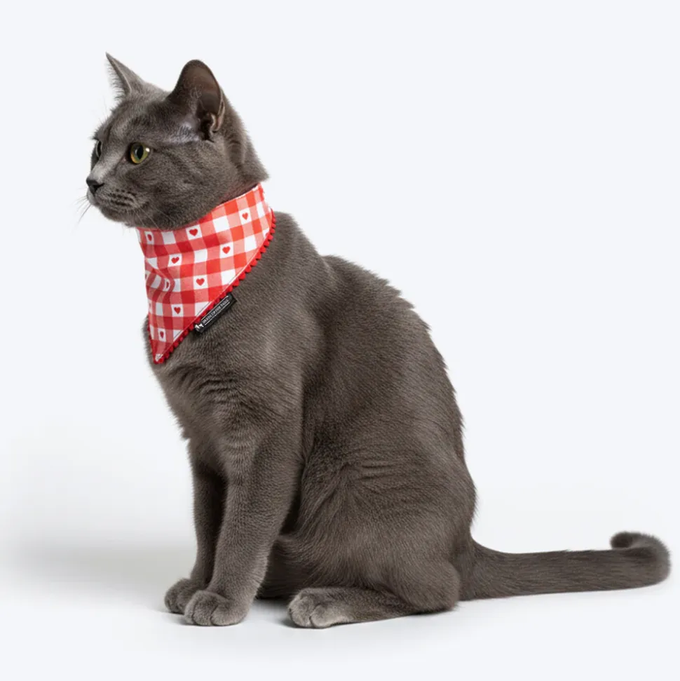 HUFT Jingle Hearts Scarf For Pets - Red & White