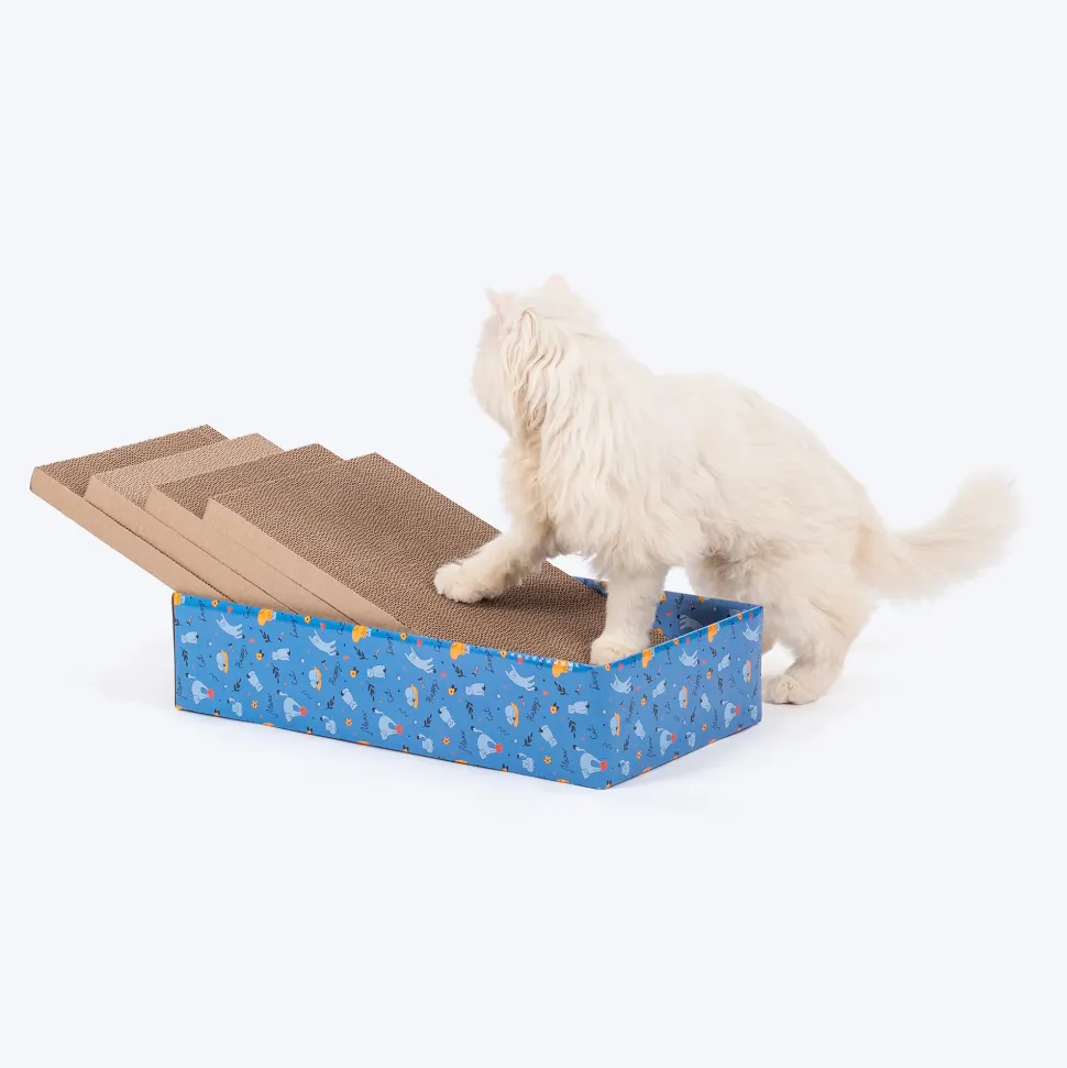 HUFT Kitty Crate Scratcher For Cat - Blue