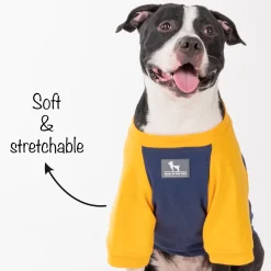 HUFT Less Talkie More Walkie Pet Sweatshirt - Navy