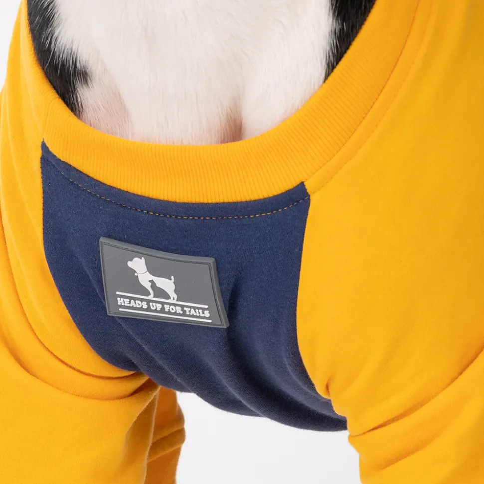 HUFT Less Talkie More Walkie Pet Sweatshirt - Navy